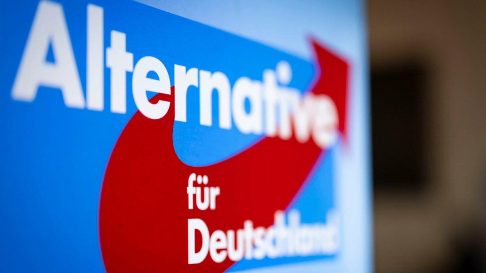 AfD Alternative für Deutschland
